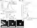 Fig. 08 - Nano-Mechanical Infrared Spectroscopy System and Method Using Gated Peak Force IR