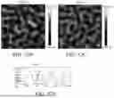 Fig. 10 - Nano-Mechanical Infrared Spectroscopy System and Method Using Gated Peak Force IR