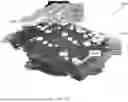 Fig. 06 - Processing LiDAR Data