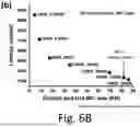 Fig. 08 - MICROCONTROLLER UNIT INTEGRATING AN SRAM-BASED IN-MEMORY COMPUTING ACCELERATOR