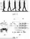 Fig. 06 - ENCODING METHOD, DECODING METHOD, AND DEVICE FOR POINT CLOUD COMPRESSION