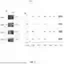 Fig. 06 - TRACKING OPERATING ROOM PHASE FROM CAPTURED VIDEO OF THE OPERATING ROOM