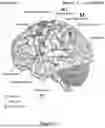 Fig. 12 - LEARNING SYSTEM AND METHOD