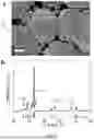 Fig. 02 - ZINC-BASED ALLOYS FOR STABLE AND HIGH-PERFORMANCE SEAWATER-BASED AQUEOUS BATTERIES