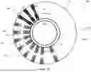 Fig. 11 - High Efficiency High Density Motor and Generator with Multiple Airgaps and Interleaved Magnetic Structures