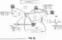 Fig. 12 - Communication system and communication method using reconfigurable intelligent surface and reconfigurable intelligent surface device