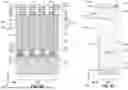 Fig. 17 - Microelectronic devices and electronic systems