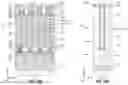 Fig. 19 - Microelectronic devices and electronic systems
