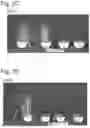 Fig. 05 - AGRICULTURAL FORMULATIONS
