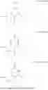 Fig. 331 - PHARMACEUTICAL COMPOSITIONS COMPRISING SUBSTITUTED NUCLEOTIDE AND NUCLEOSIDE FOR TREATING VIRAL INFECTIONS