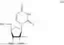 Fig. 489 - PHARMACEUTICAL COMPOSITIONS COMPRISING SUBSTITUTED NUCLEOTIDE AND NUCLEOSIDE FOR TREATING VIRAL INFECTIONS