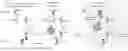 Fig. 01 - UNIVERSAL CHIMERIC ANTIGEN RECEPTOR T-CELL AND APPLICATION THEREOF