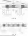 Fig. 11 - UNIVERSAL CHIMERIC ANTIGEN RECEPTOR T-CELL AND APPLICATION THEREOF