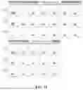 Fig. 14 - UNIVERSAL CHIMERIC ANTIGEN RECEPTOR T-CELL AND APPLICATION THEREOF