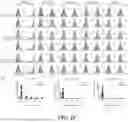 Fig. 16 - UNIVERSAL CHIMERIC ANTIGEN RECEPTOR T-CELL AND APPLICATION THEREOF