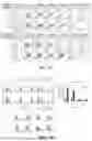 Fig. 22 - UNIVERSAL CHIMERIC ANTIGEN RECEPTOR T-CELL AND APPLICATION THEREOF