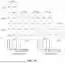 Fig. 23 - UNIVERSAL CHIMERIC ANTIGEN RECEPTOR T-CELL AND APPLICATION THEREOF
