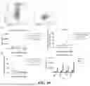 Fig. 26 - UNIVERSAL CHIMERIC ANTIGEN RECEPTOR T-CELL AND APPLICATION THEREOF