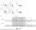 Fig. 27 - UNIVERSAL CHIMERIC ANTIGEN RECEPTOR T-CELL AND APPLICATION THEREOF