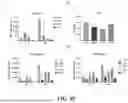 Fig. 33 - UNIVERSAL CHIMERIC ANTIGEN RECEPTOR T-CELL AND APPLICATION THEREOF