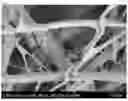 Fig. 04 - FILTER MATERIAL FOR AIR FILTER AND PRODUCTION METHOD THEREFOR