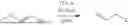 Fig. 197 - INHIBITING HUMAN INTEGRIN (ALPHA-4) (BETA-7)