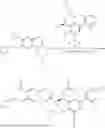 Fig. 586 - INHIBITING HUMAN INTEGRIN (ALPHA-4) (BETA-7)