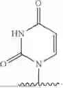 Fig. 586 - Nucleotide analogues