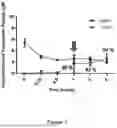 Fig. 02 - TRANSPORTER PEPTIDES AND APPLICATION THEREOF