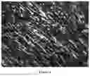 Fig. 02 - HIGHLY THERMALLY CONDUCTIVE HEAT STORAGE MATERIAL, PREPARATION METHOD THEREFOR, AND APPLICATION THEREOF, AND COMPOSITION FOR PREPARING HIGHLY THERMALLY CONDUCTIVE HEAT STORAGE MATERIAL AND APPLICATION THEREOF