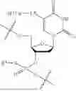 Fig. 167 - OLIGONUCLEOTIDE COMPOSITIONS AND METHODS OF USE THEREOF