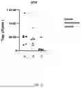 Fig. 23 - Factor VIII Molecules and Their Use