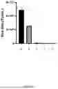 Fig. 24 - Factor VIII Molecules and Their Use