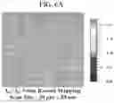 Fig. 08 - MANUFACTURING METHOD FOR GRAPHENE FILM