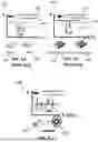 Fig. 02 - SYSTEM AND COMPUTER-IMPLEMENTED METHOD FOR DETERMINING PREDICTED COMPONENT CONCENTRATIONS OF A TARGET MIXTURE