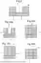Fig. 07 - Nanopore Arrays for Sequencing Nucleic Acids