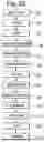 Fig. 26 - Nanopore Arrays for Sequencing Nucleic Acids