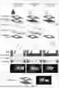 Fig. 01 - Enzyme-linked paper-based assay