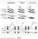 Fig. 08 - Enzyme-linked paper-based assay