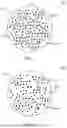 Fig. 06 - EYEWEAR