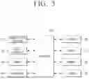 Fig. 04 - ELECTRONIC APPARATUS AND METHOD FOR VERIFYING ENCRYPTED DATA