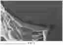 Fig. 05 - ANODE ACTIVE MATERIAL, METHOD OF PREPARING THE SAME, AND LITHIUM SECONDARY BATTERY INCLUDING THE SAME