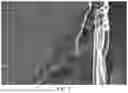 Fig. 06 - ANODE ACTIVE MATERIAL, METHOD OF PREPARING THE SAME, AND LITHIUM SECONDARY BATTERY INCLUDING THE SAME