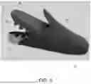Fig. 06 - INTERCHANGEABLE FOOTBED FOR FOOTWEAR AND A MODULAR SHOE SYSTEM HAVING AN INTERCHANGEABLE FOOTBED