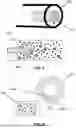 Fig. 04 - MULTI-SPECTRAL IMAGING SYSTEMS FOR ASSESSING HEALTH