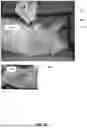 Fig. 15 - MULTI-SPECTRAL IMAGING SYSTEMS FOR ASSESSING HEALTH