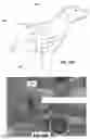 Fig. 17 - MULTI-SPECTRAL IMAGING SYSTEMS FOR ASSESSING HEALTH
