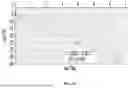 Fig. 83 - ELECTROCHEMICAL SENSOR FOR THE MEASUREMENT OF GLUCOSE CONCENTRATION
