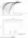 Fig. 85 - ELECTROCHEMICAL SENSOR FOR THE MEASUREMENT OF GLUCOSE CONCENTRATION