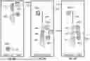 Fig. 82 - USER INTERFACE FOR CONCENTRIC INTERVENTIONAL DEVICES